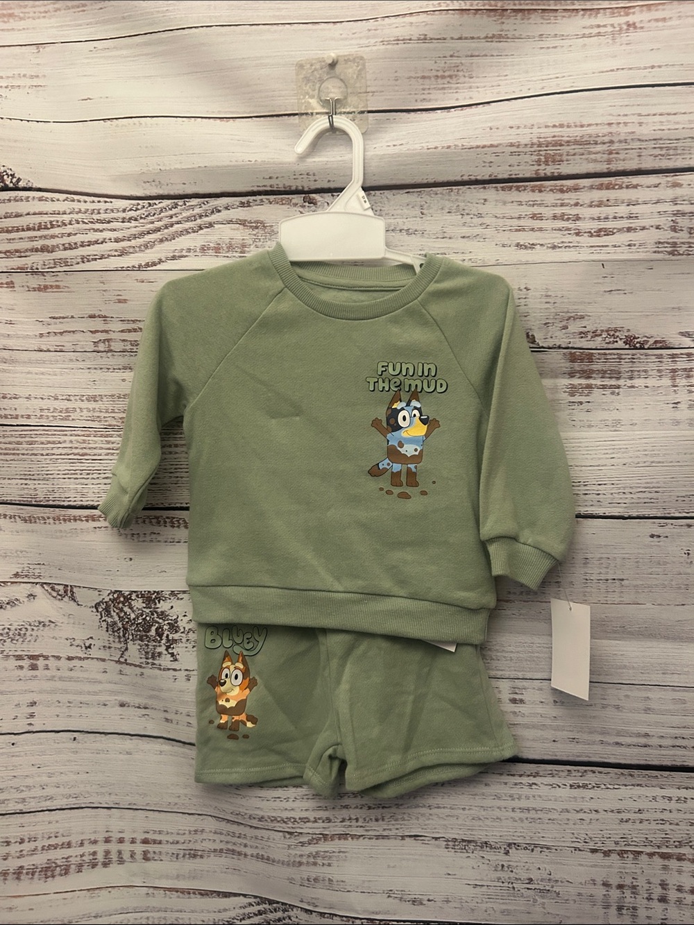 NWT green Bluey short set with matching pullover size 12 months